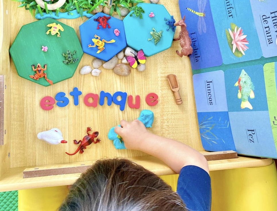 learning2gether_Montessori-Canela
